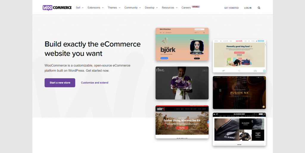 WooCommerce homepage.