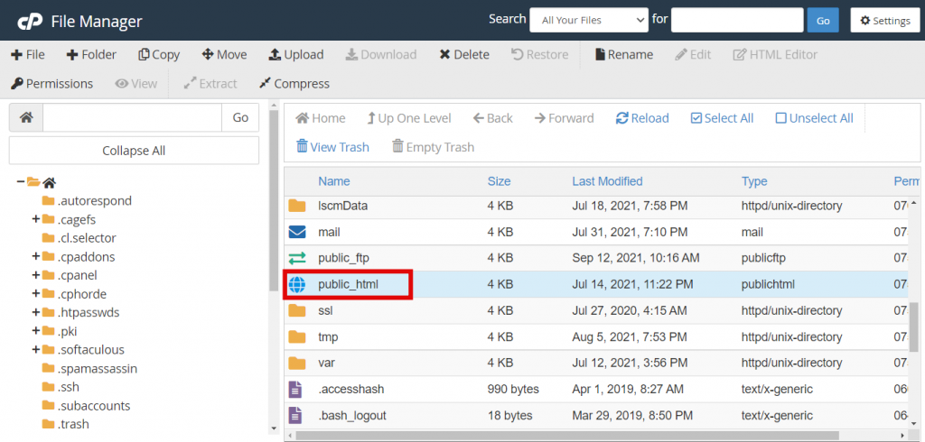 public_html folder on cPanel