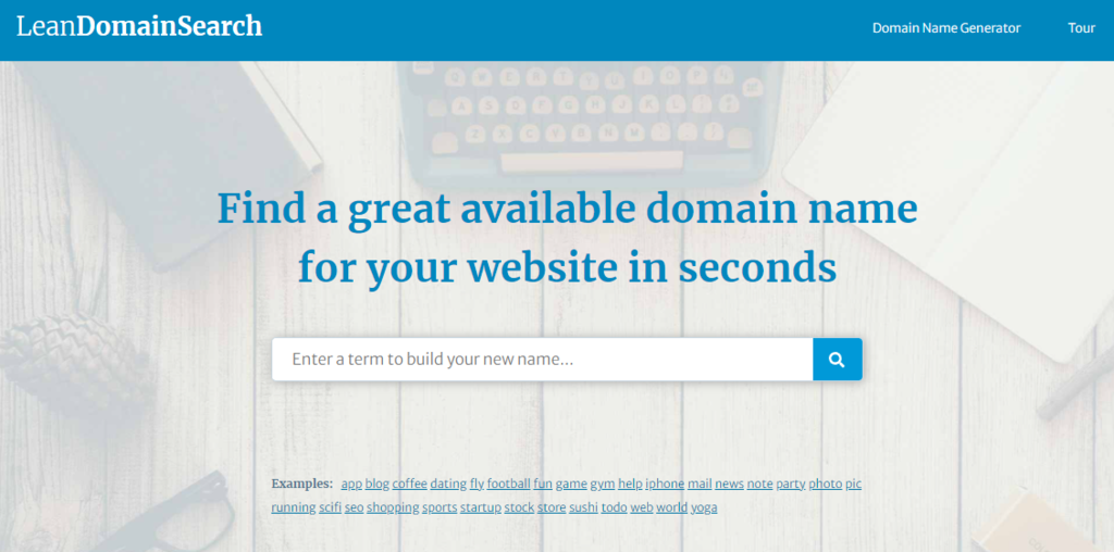 Lean domain search homepage.