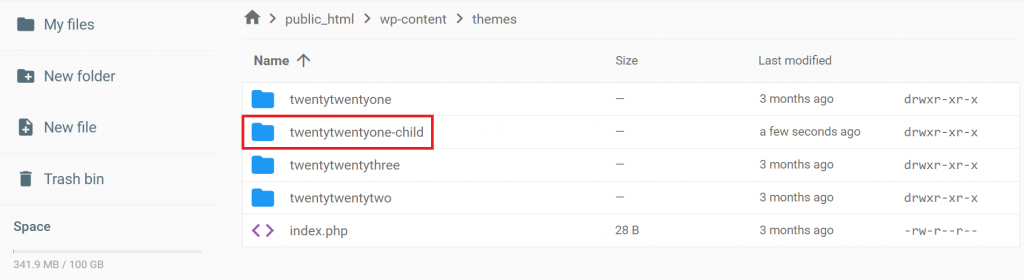 The twentytwentyone-child folder in the themes directory